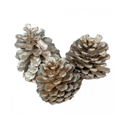 Pine cone euro közepes toboz 60dkg/csom