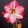 Hippeastrum-039Blossom-Grandise040