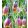 Fritillaria uva-vulpis - Asszír kockásliliom