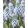 Muscari Valerie Finnis - Fürtös gyöngyike