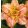 Hemerocallis Art Noveau Lamp - Sásliliom