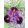 Iris pumila Chemistry