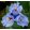Iris pumila Crank It Up