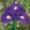 Iris pumila Cub Cadet
