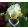 Iris pumila Easy Does It