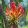 Gloriosa Rothschildiana - Koronásliliom