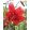 Lilium Red Life - Liliom