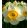 Narcissus Flower Record - Nárcisz