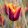 Tulipa Abu Hassan - Tulipán