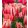 Tulipa Spryng Break - Tulipán