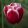 Tulipa-039Timeless040
