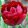 tulipa-uncle-tom