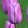 Tulipa-039Violet-Beauty040