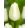 Tulipa White Prince - Tulipán