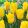 Tulipa Yellow Flight - Tulipán