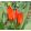 Tulipa praestans Van Tubergens Variety - Tulipán