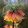 Fritillaria imperialis Early Fantasy - Császárkorona