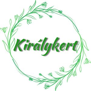 Crocus malyi Ballerina - Krókusz