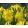 Narcissus Lucky Number (12/+) - Nárcisz