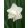 Narcissus Rose of May (12/+) - Nárcisz