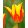 Tulipa Fireworks (11/+) - Tulipán
