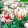 Tulipa Flaming Springgreen (11/+) - Tulipán