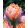Tulipa Pink Star (11/+) - Tulipán