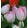 Tulipa Supri Erotic (11/+) - Tulipán