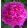 Paeonia PINK JAZZ (I.) - Bazsarózsa