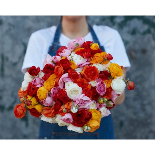 Ranunculus Amandine Couleur Mixte (4/+) - Ázsiai boglárka