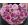 Ranunculus Amandine Purple Jean (4/+) - Ázsiai boglárka