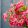 Ranunculus Super Green Rose (4/+) - Ázsiai boglárka