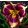 Hemerocallis ALEXANDER HAY