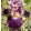 Iris DIALECT