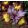Iris FIDDLES ON FIRE