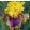 Iris FIMFARUM
