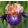 Iris FLYING CIRCUS