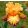 Iris GLIMMER OF HOPE