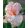 Iris HAPPENSTANCE