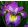 Iris HOW AUDACIOUS