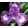 Iris LUCKY
