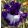 Iris MAGICAL BLUE DEEP
