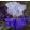Iris MOUNT GERLACH