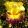 Iris NEOWISE