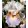 Iris QUO VADIS