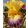 Iris RAINBOW HIGH