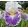 Iris RESTART MY HEART