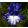 Iris ROYAL ESTATE