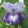 Iris SAILOR