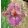 Iris SCRIVNER